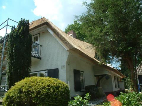 DSCF0180.jpg